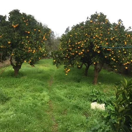 Casa Com Jardim Casal De Sao Tome * 미라